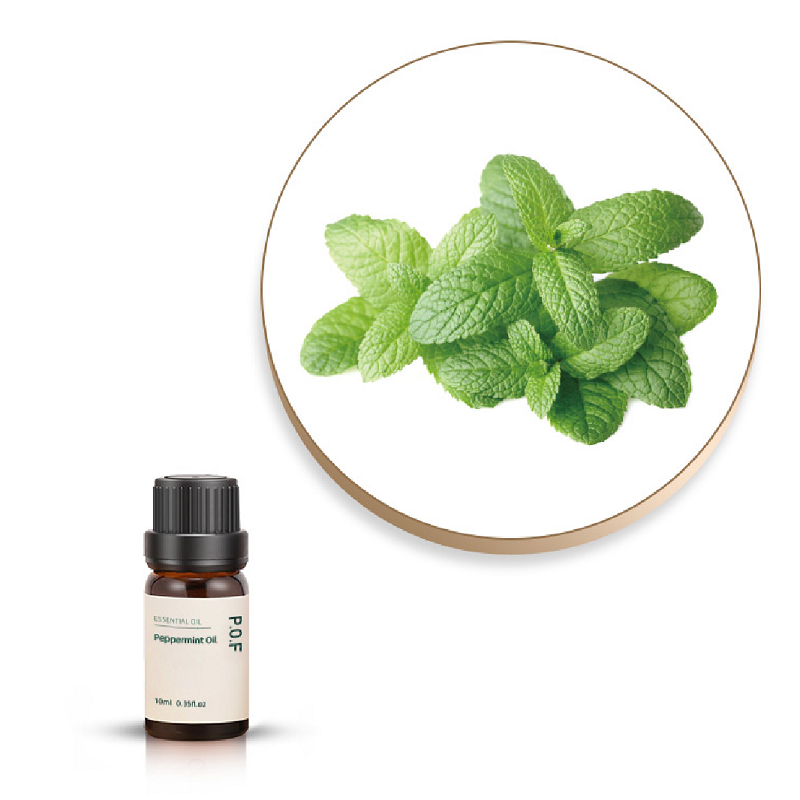 Peppermint Essential Oil