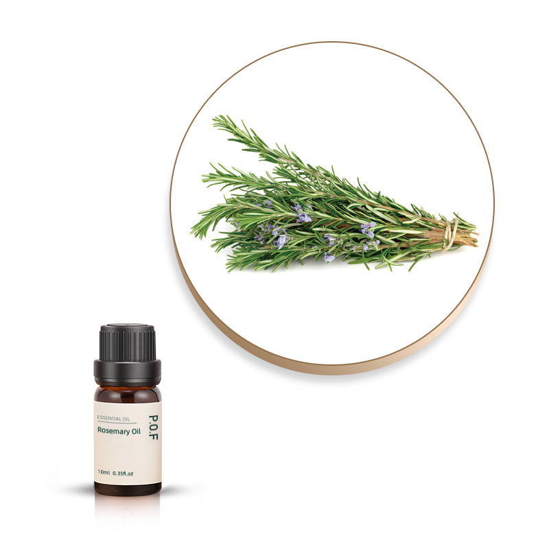 Rosemary Essential Oil