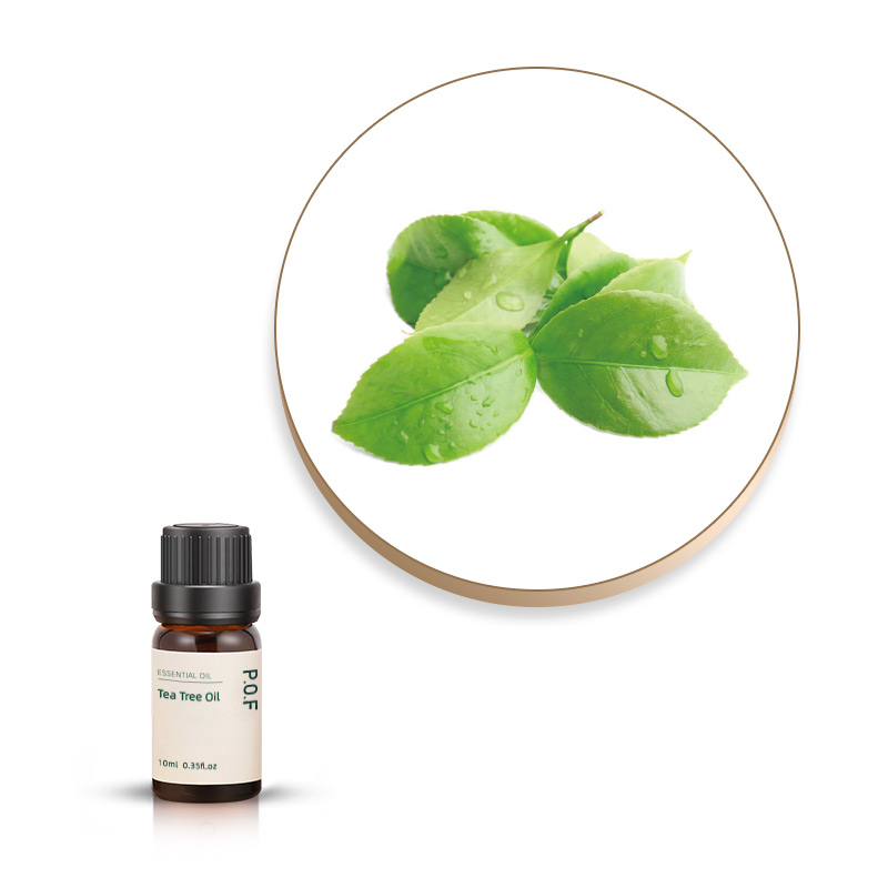 Tea Tree Oil