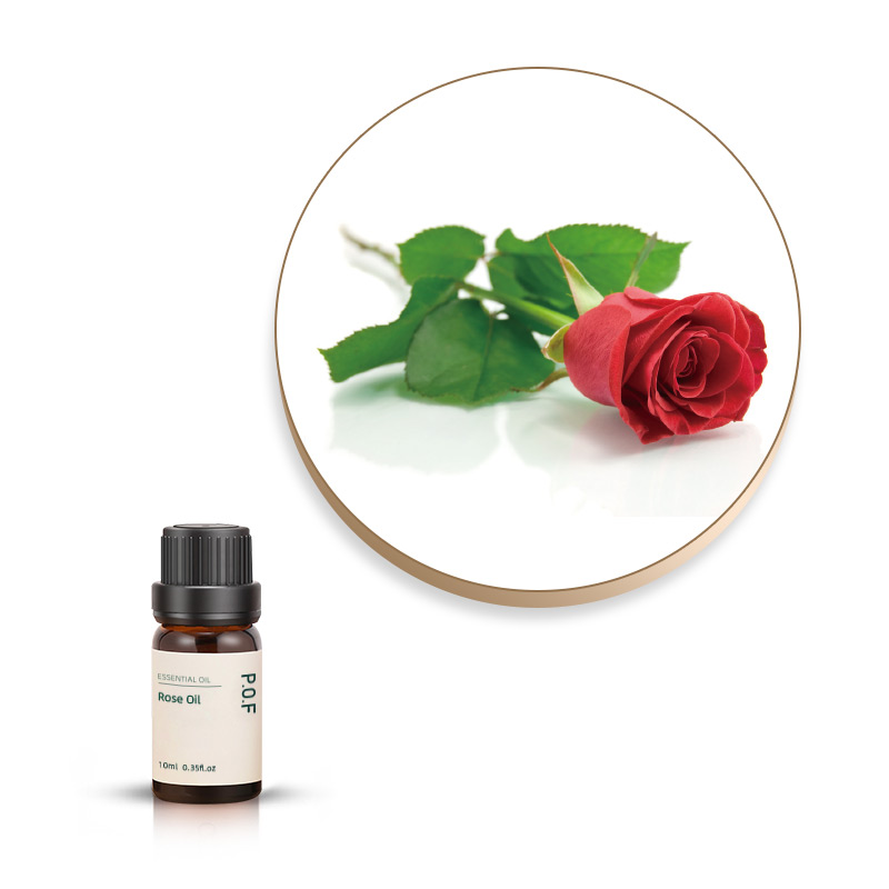 Rose Oil