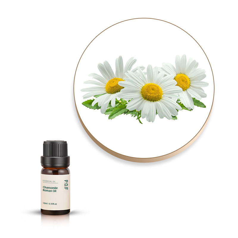 Chamomile Roman Oil