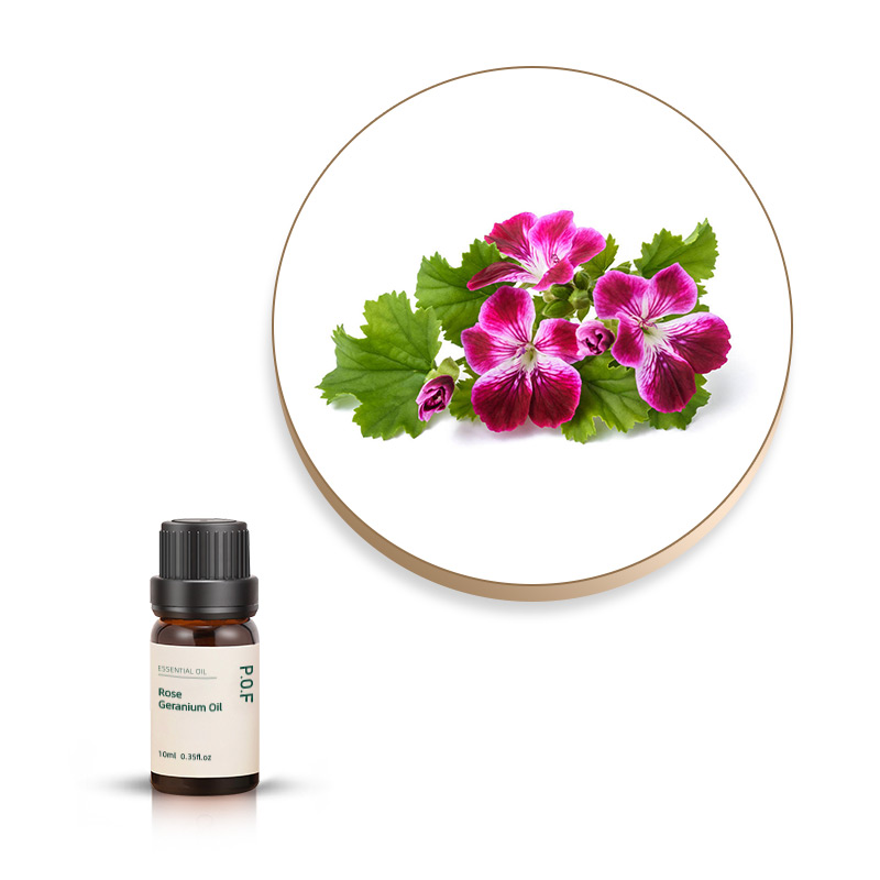 Rose Geranium Oil