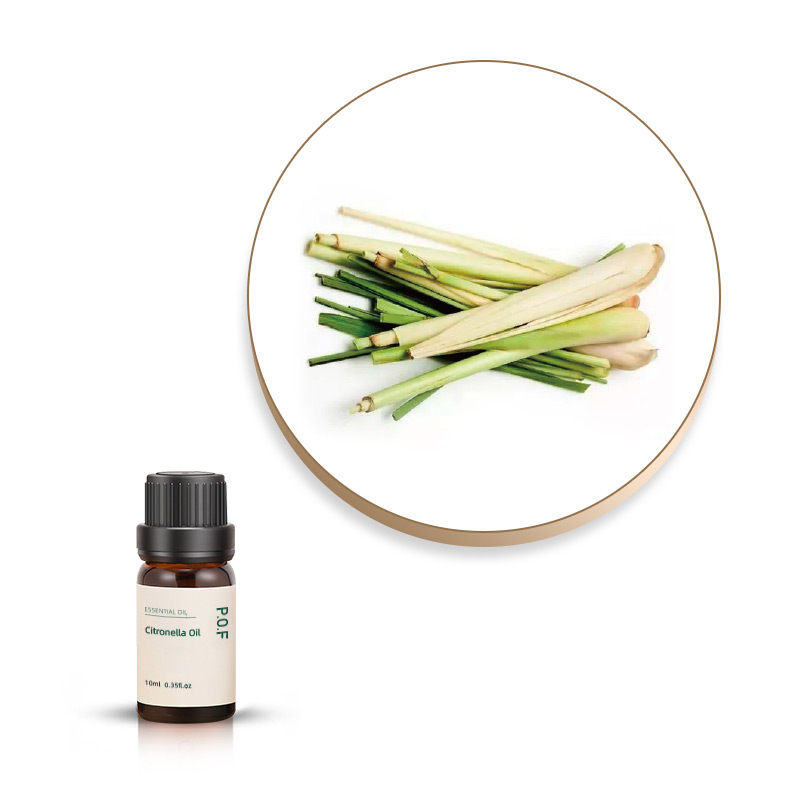 Citronella Essential Oil