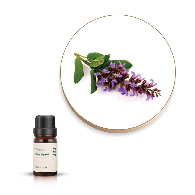 Clary Sage Essential Oil