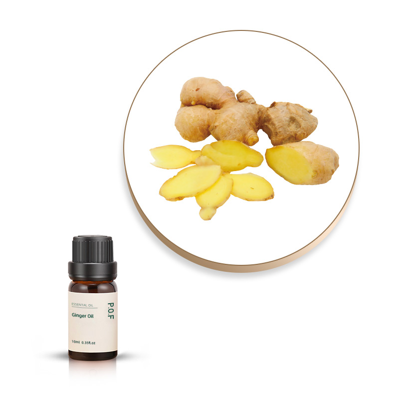 Ginger Essential Oil