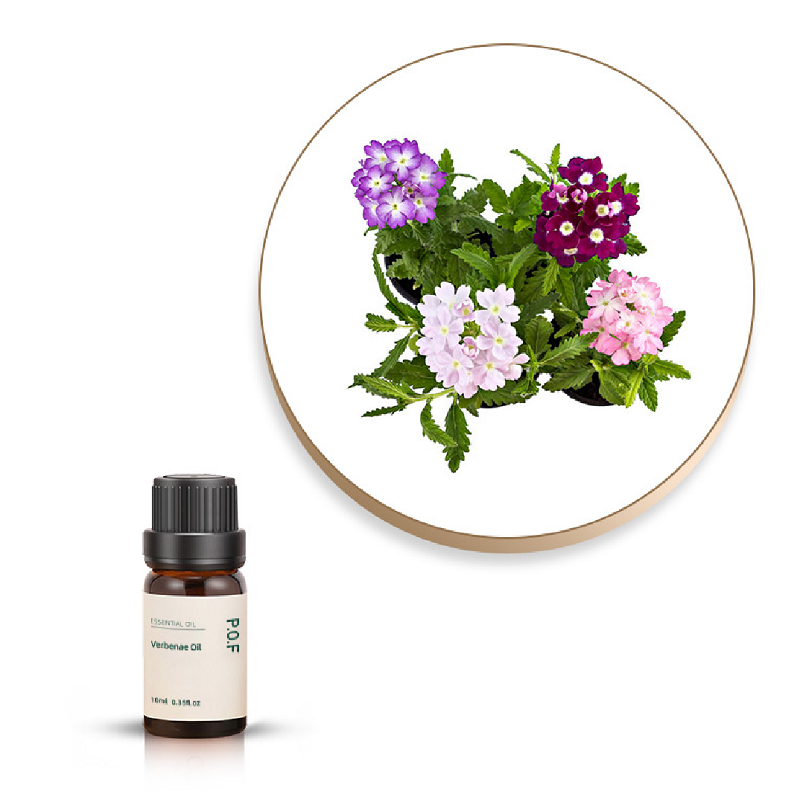 Verbena Essential Oil