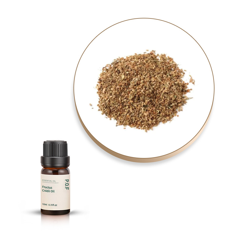 Carrot Seed Oil