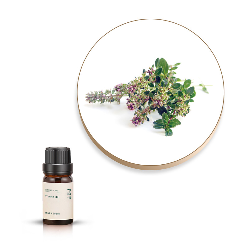 Thyme Essential Oil