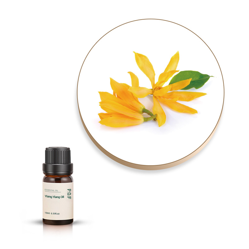 Ylang Ylang Essential Oil