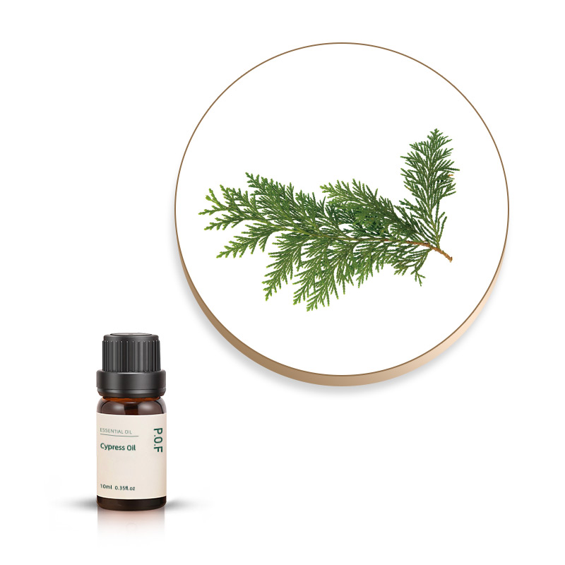 Cypress Essential Oil