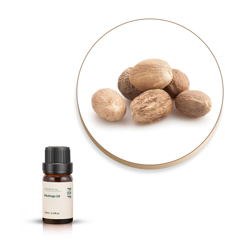 Nutmeg Essential Oil